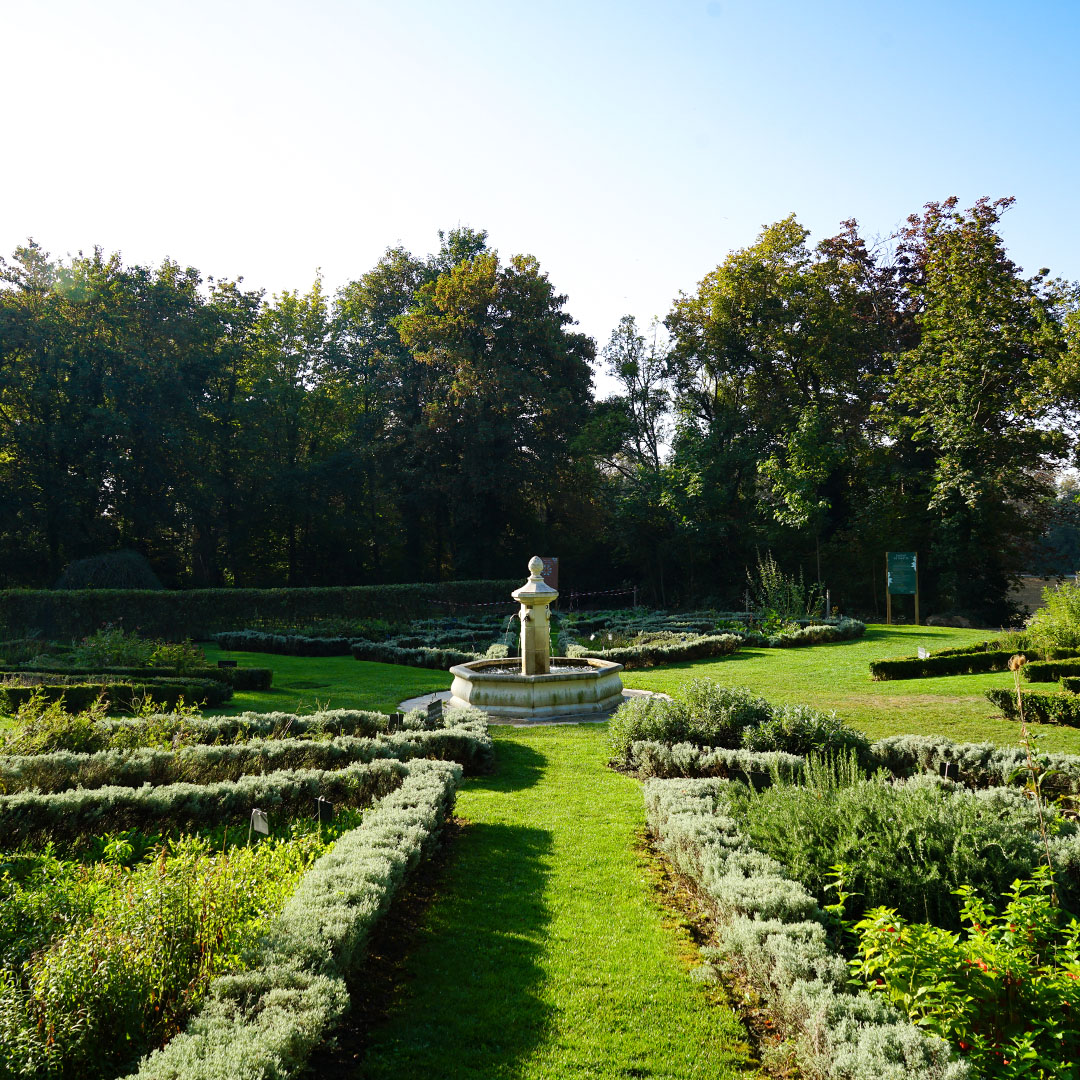 Parc de Champagne, jardin des simples. ©Ville de Reims