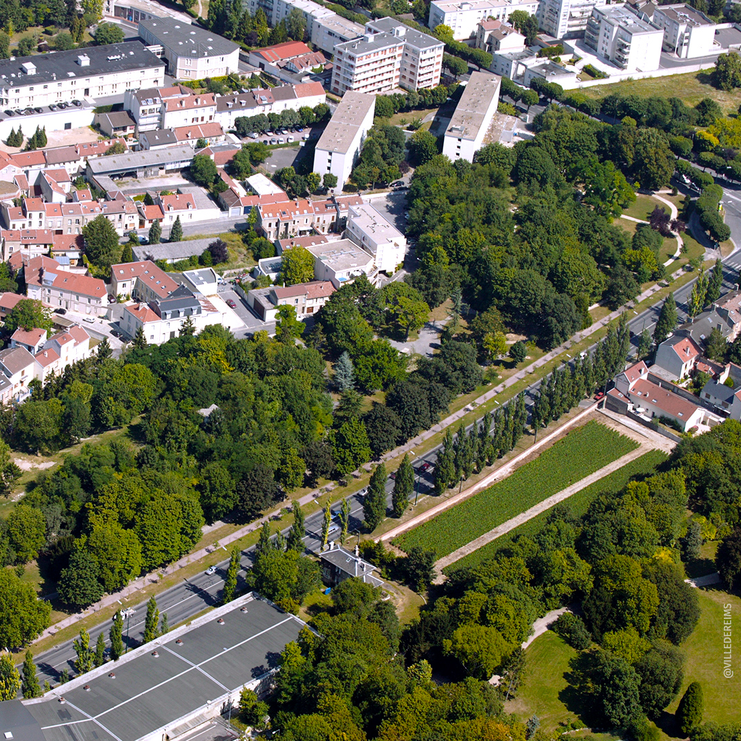 Visit Reims